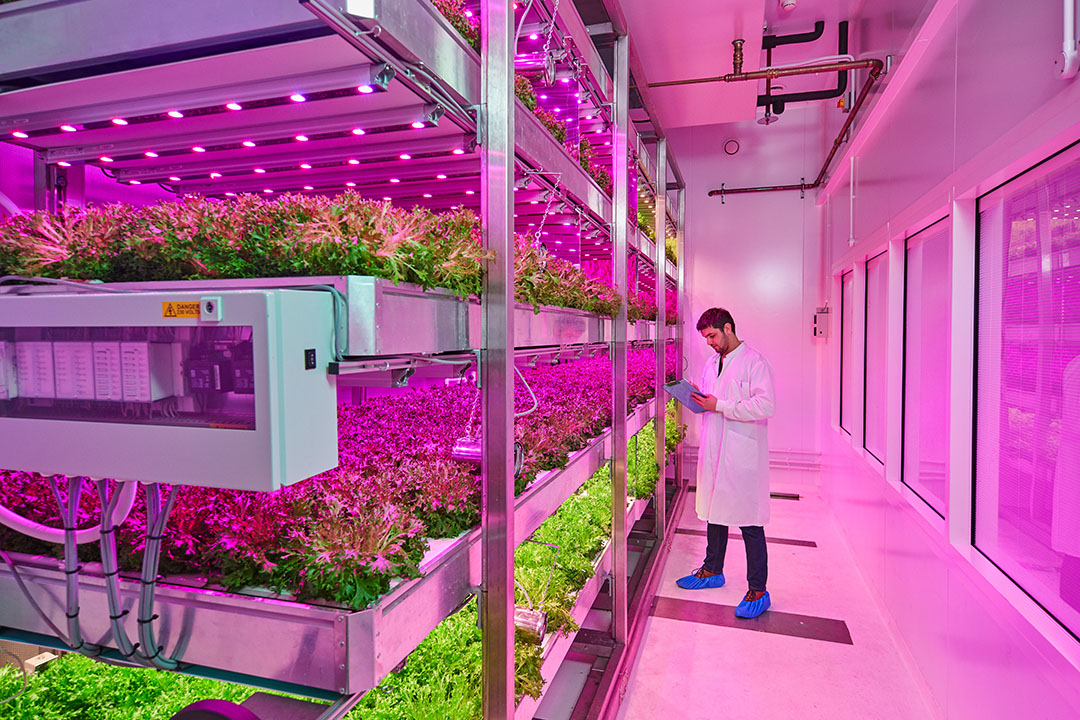 Indoor Farming Technology Market To Grow To Billion Future