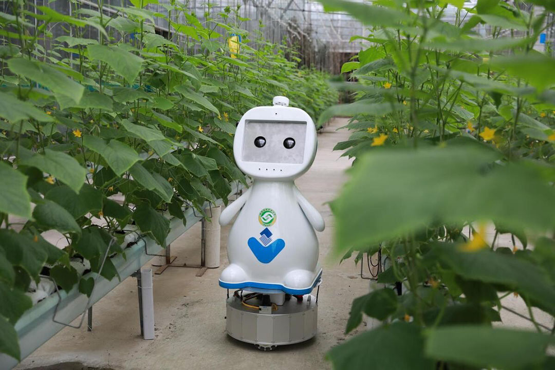 Farming Robot Makes Its Debut In China - Future Farming