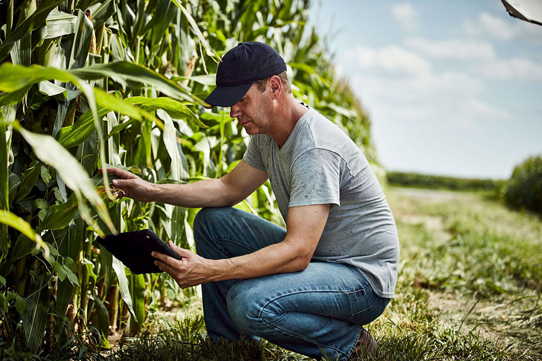 Airbus satellite imagery in Climate FieldView - Future Farming