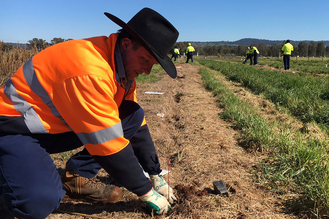 australia-gets-its-first-fully-automated-commercial-farm-future-farming