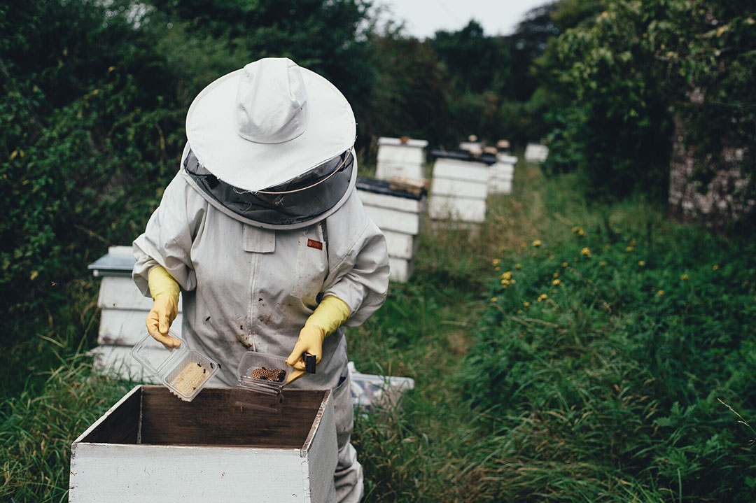 Beekeepers are struggling to keep up with farms' pollination needs