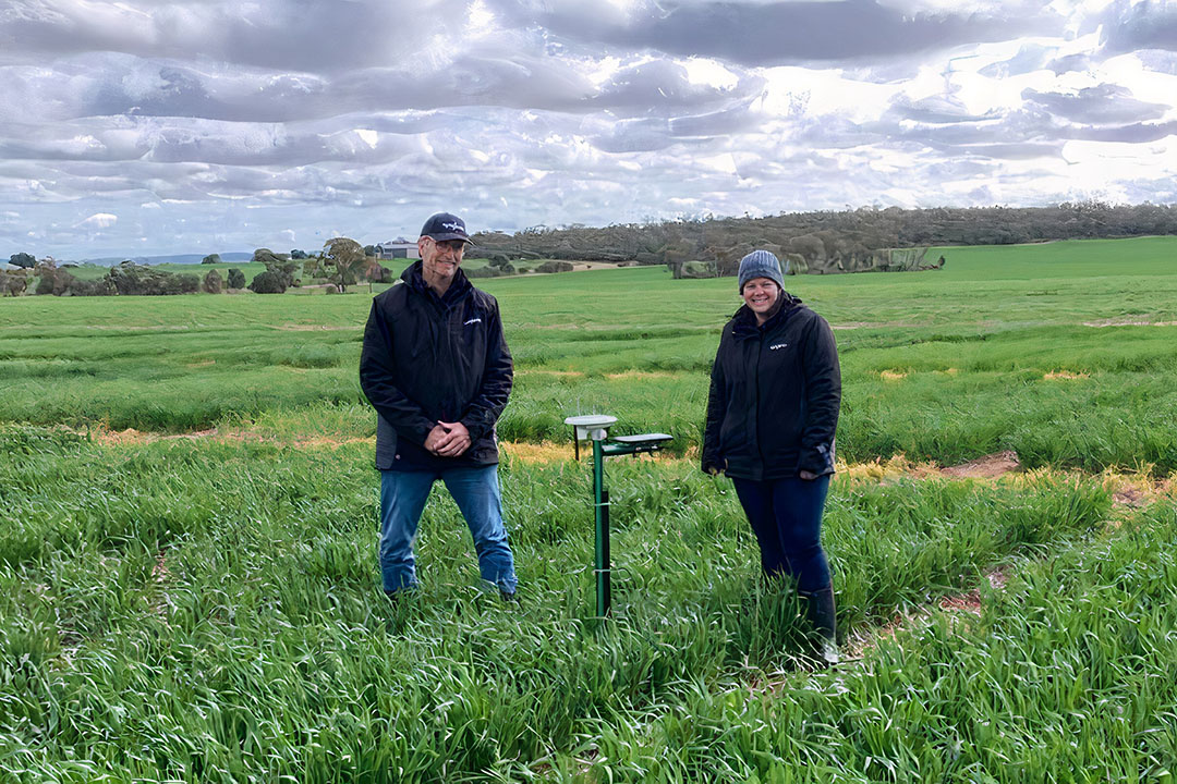 Benefits of on-farm weather stations on orchards in NSW