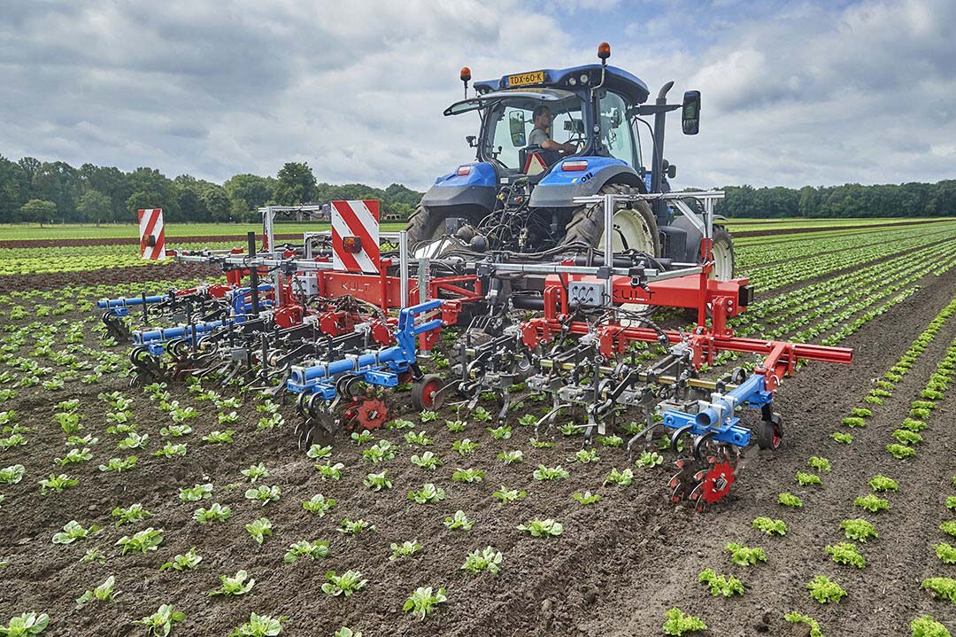 In row weeders increasingly handy manual labor almost redundant